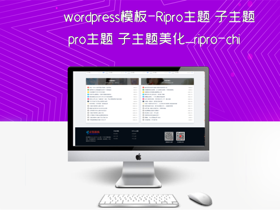 wordpress模板-Ripro主题 子主题美化_ripro-child下载站主题