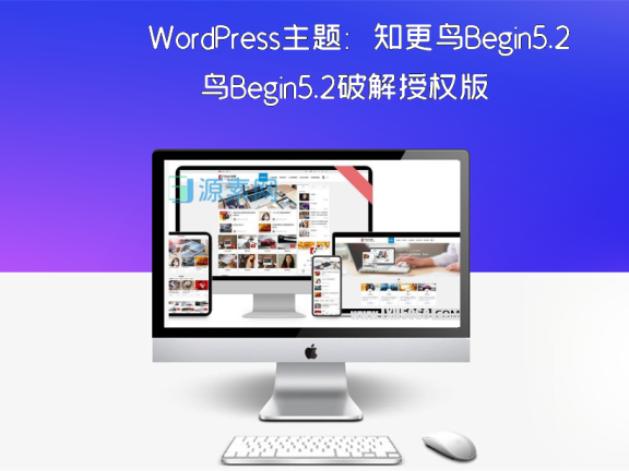 WordPress主题：知更鸟Begin5.2破解授权版